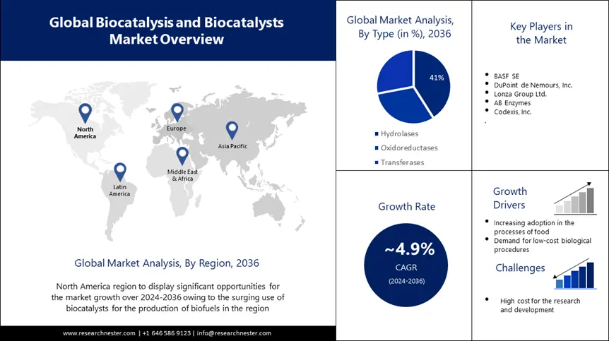 Biocatalysis & Biocatalysts Market Overview